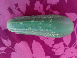 FirstCucumber1