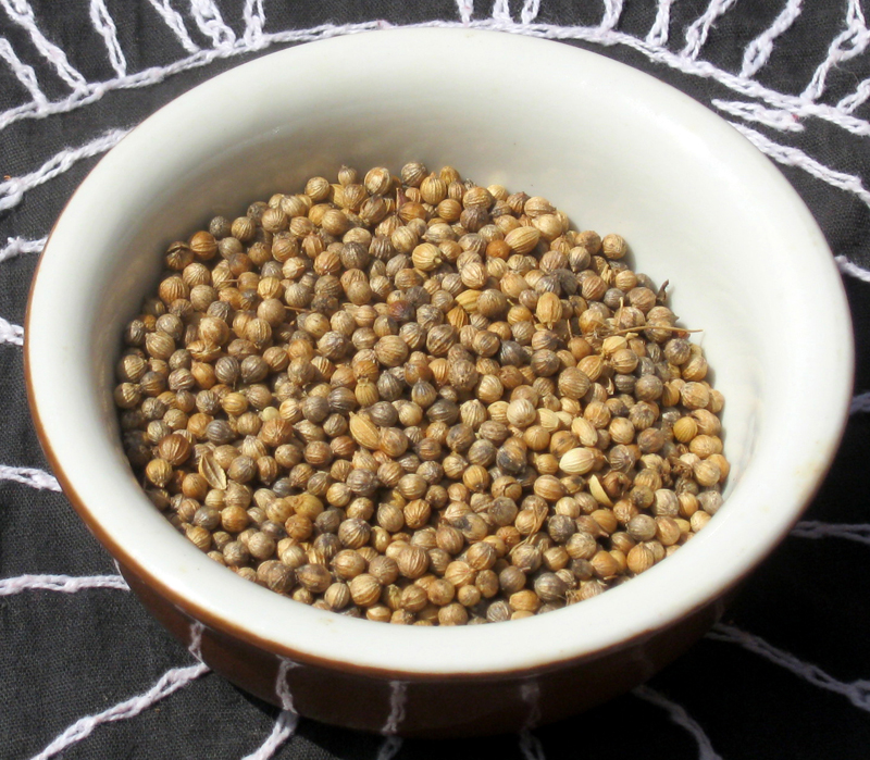 Coriander seeds