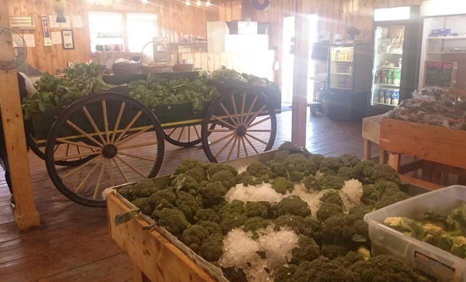 Lester's Farm Market