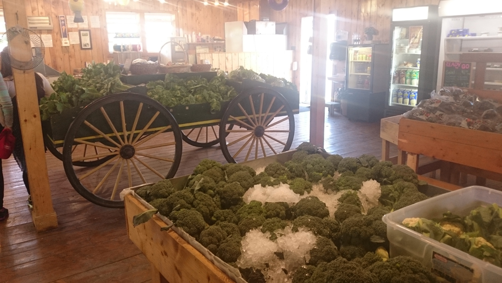 Lester's Farm Market