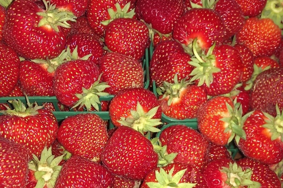 Fresh Ontario Strawberries