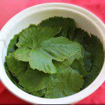 Fresh grape leaves