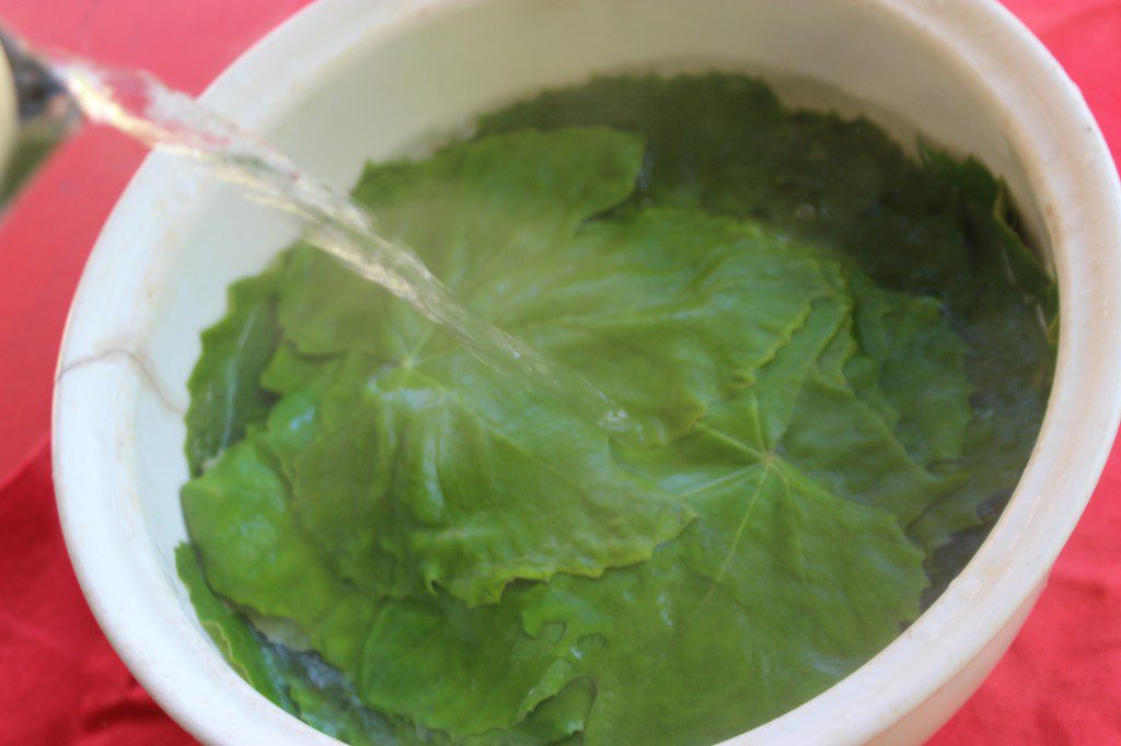Use boiling water to wilt the grape leaves
