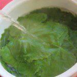 Use boiling water to wilt the grape leaves