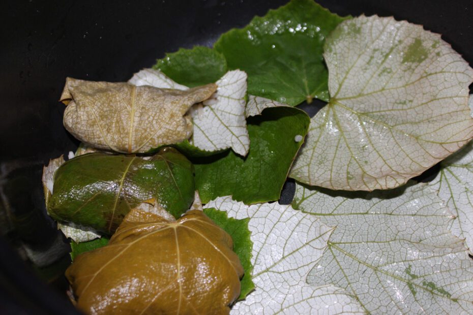 Bed of grape leaves for the rolled dolmathes