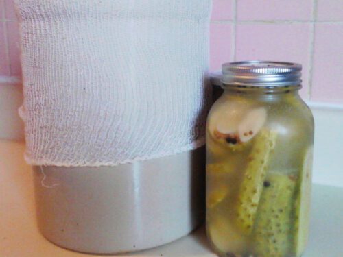 Kosher Dills