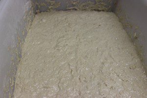 Focaccia Dough