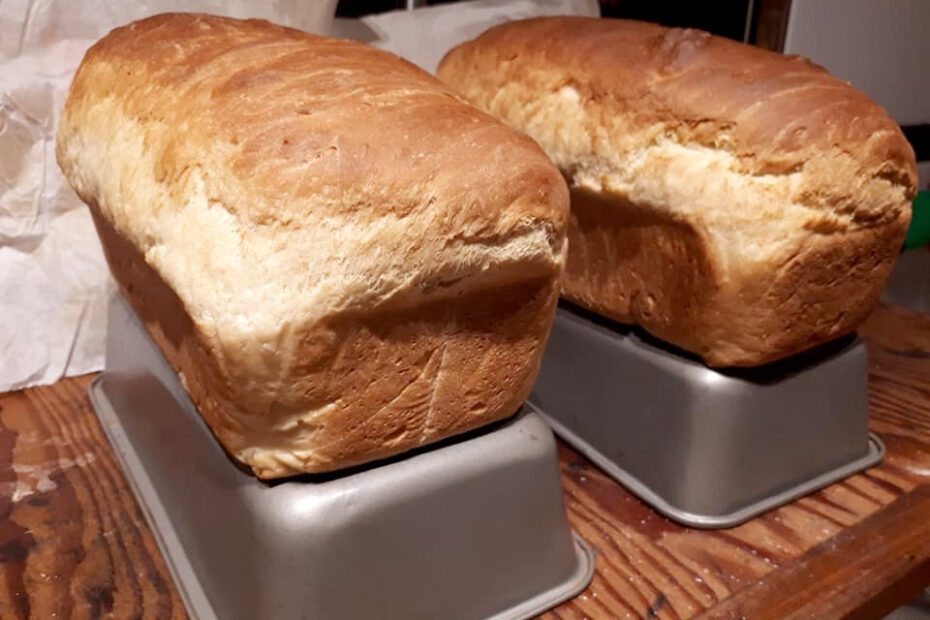 Purity Flour White Bread on tins to cool
