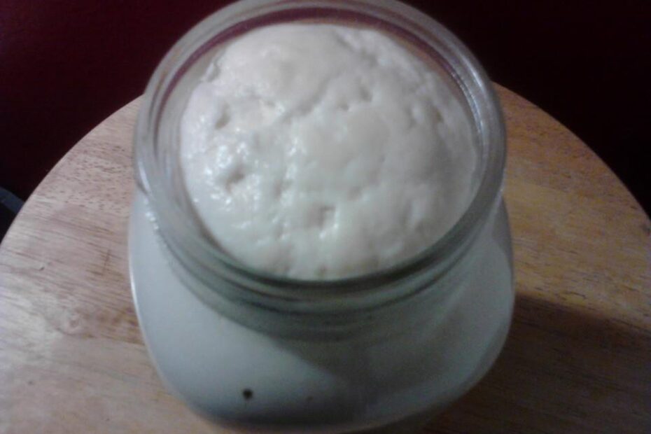 Sourdough Moon yeast
