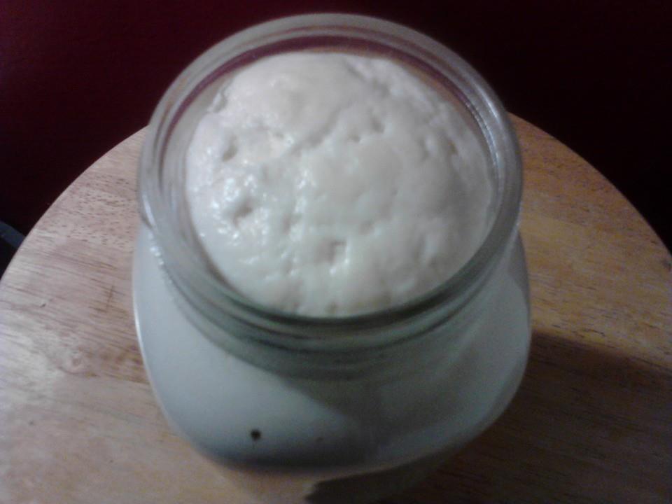 Sourdough Moon yeast