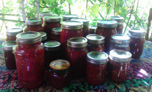 Canned Tomatoes, Salsa, and Ketchup