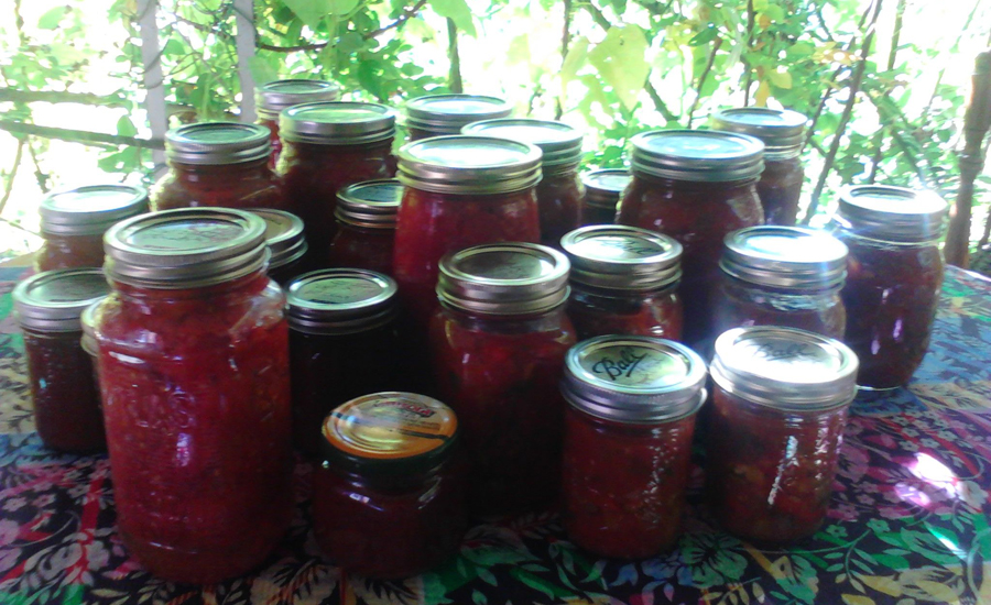 Canned Tomatoes, Salsa, and Ketchup