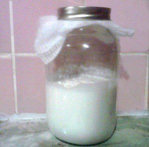 Yeast Trap