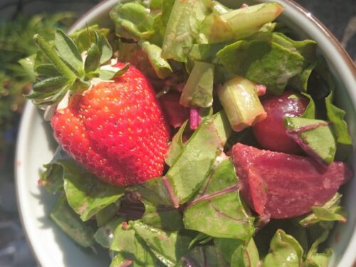 Beet Salad by GaddAboutEating