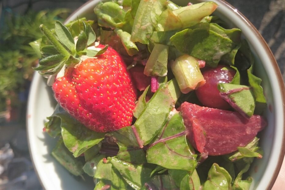 Beet Salad by GaddAboutEating