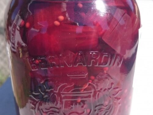 Pickled beets and shallots
