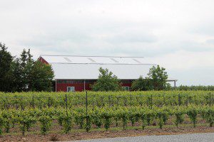 PondviewBarn
