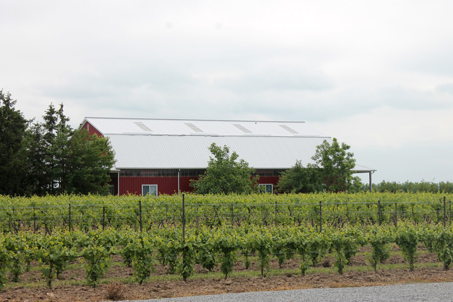 PondviewBarn