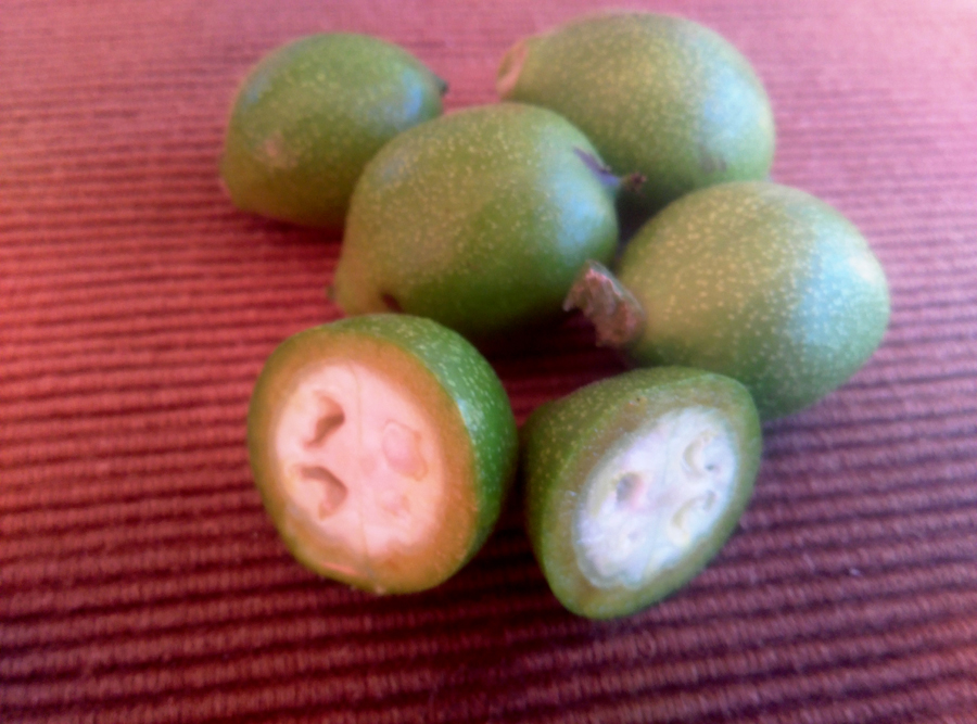 Walnuts for Nocino