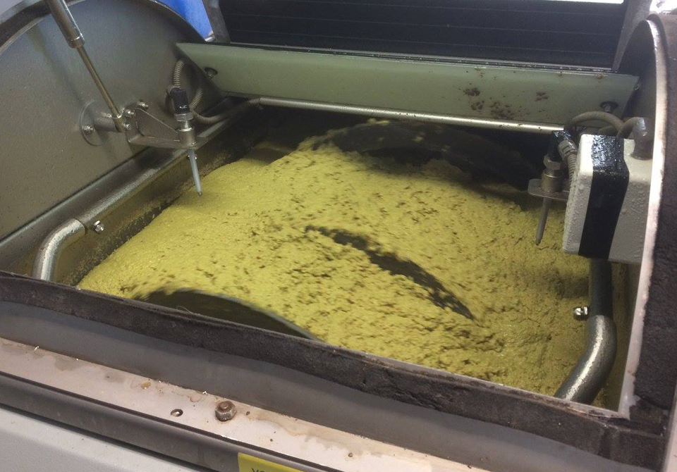 Olives in Hopper