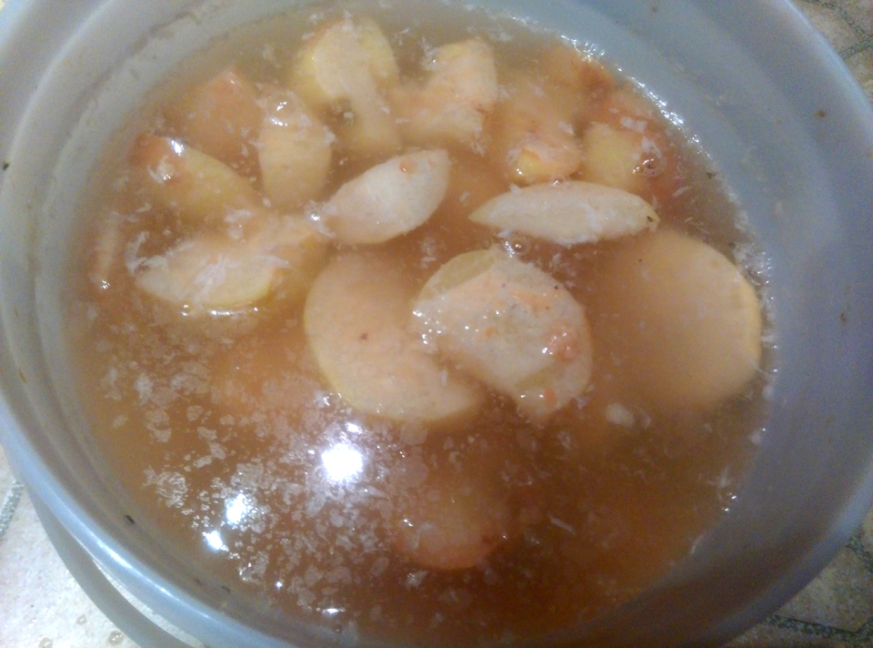 Apple cider vinegar, mid ferment