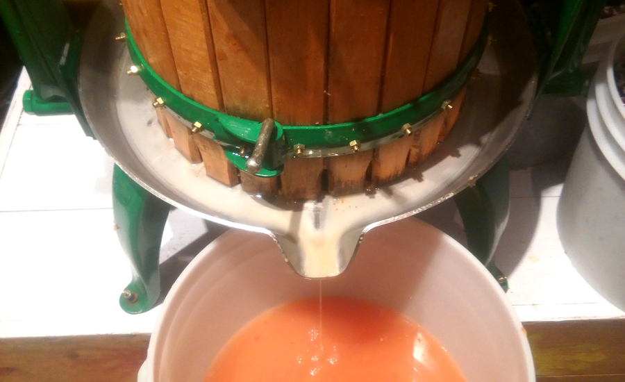 Juice press with apple juice