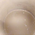 Rice fermentation, June 30