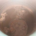 Rice vinegar July 11