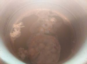 Rice vinegar July 11