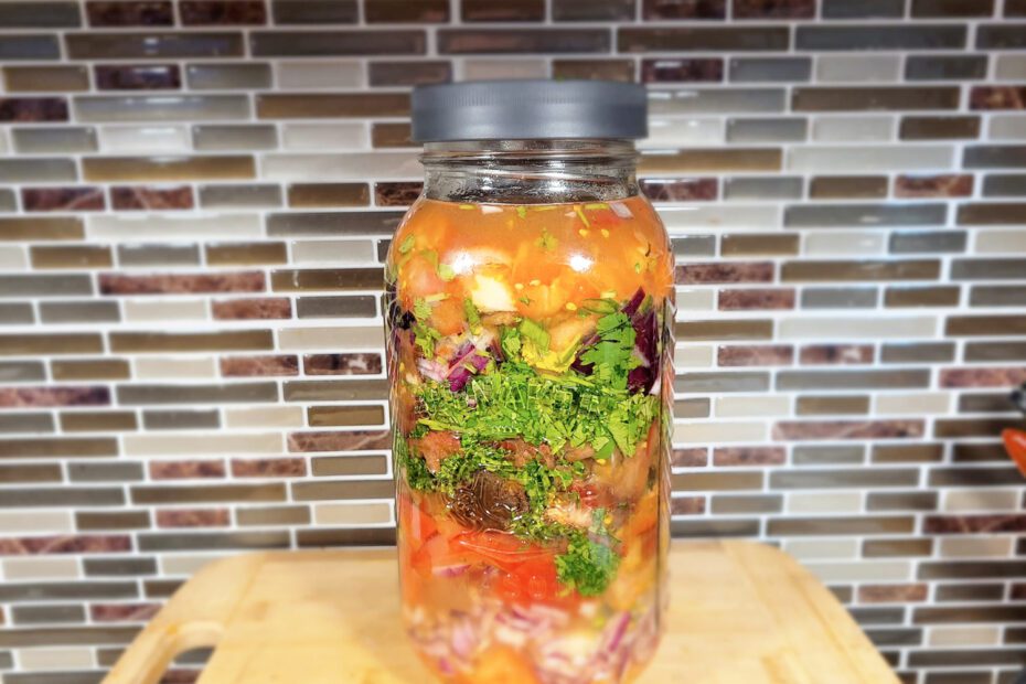 Fermented salsa start