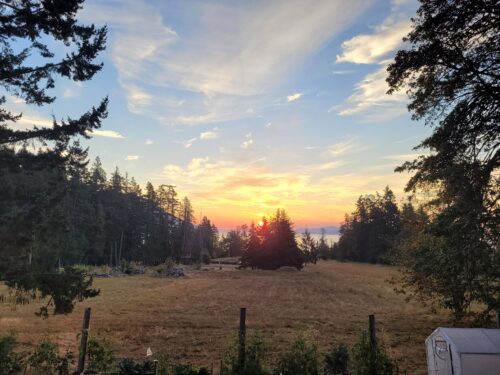 In the Garden of Eatin's at sunrise