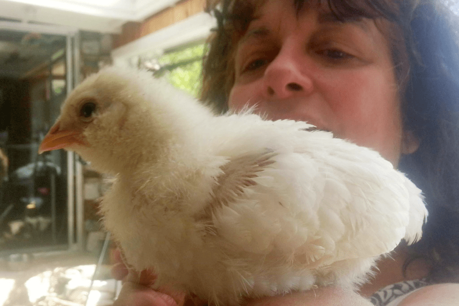Mamie perching on my arm. She has to be lifted off when put back in the dinorama...doesn't want to leave.