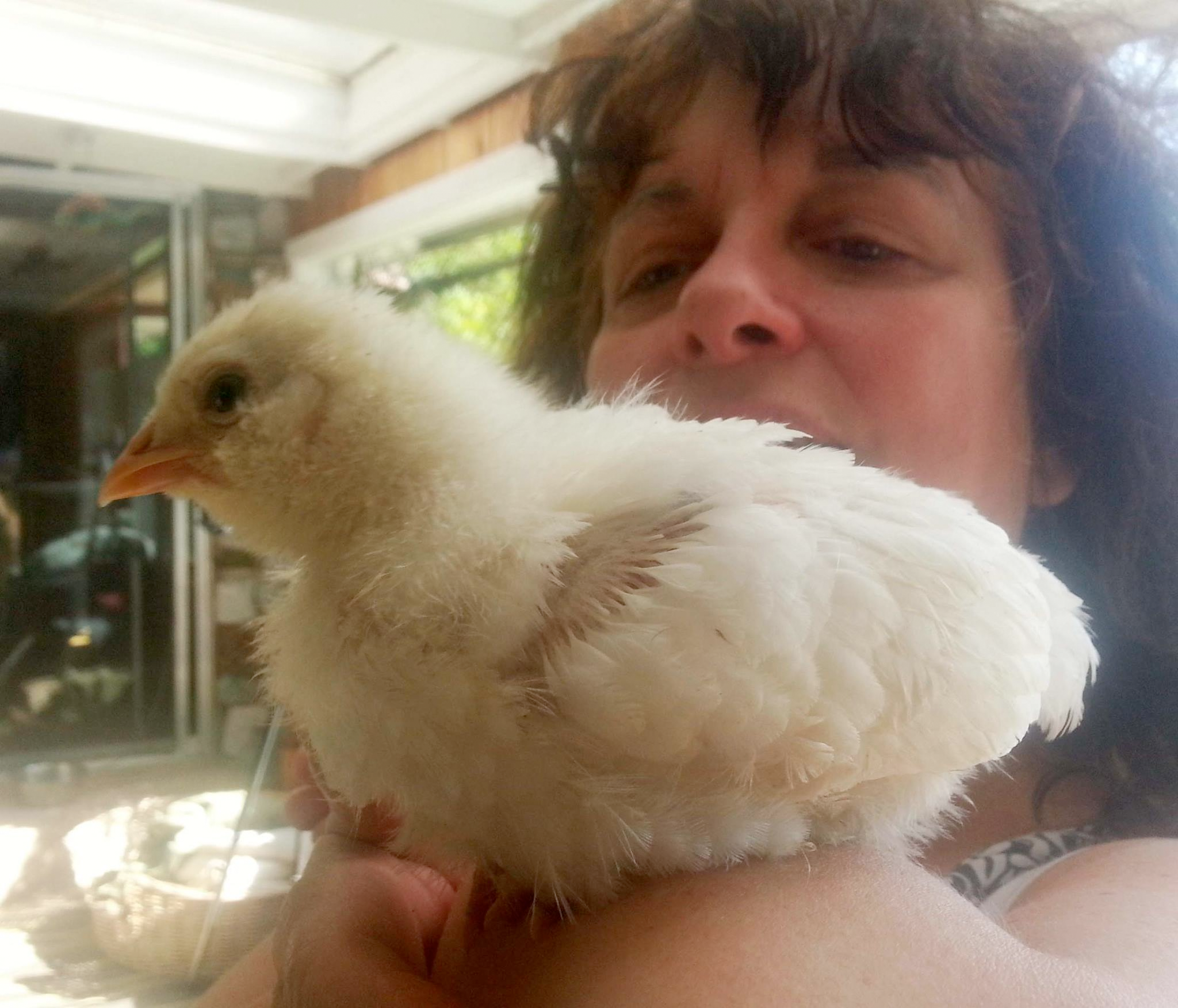 Mamie perching on my arm. She has to be lifted off when put back in the dinorama...doesn't want to leave.