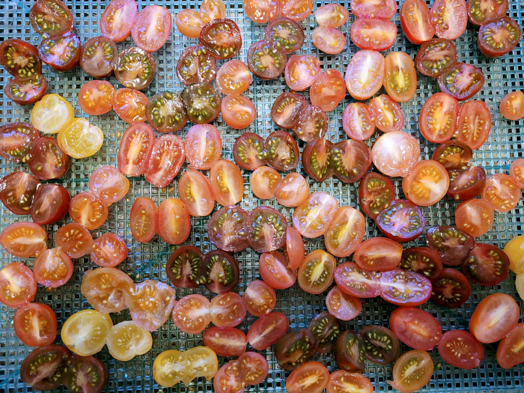 Cherry Tomatoes For Drying