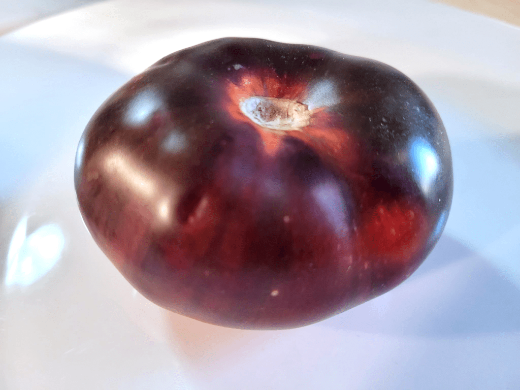 Dark Galaxy Outside