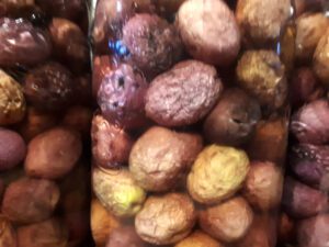 Faded Black Olives