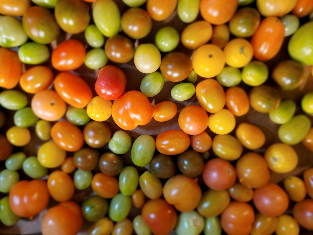 Many cherries
