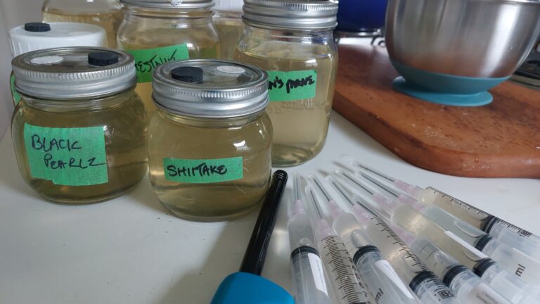 Sugar water in pre-labelled mason jars, a lighter, syringes of liquid culture.