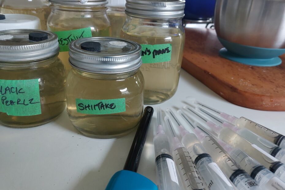 Sugar water in pre-labelled mason jars, a lighter, syringes of liquid culture.
