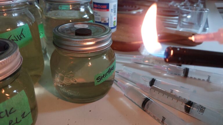Sterilizing the needle part only with fire.