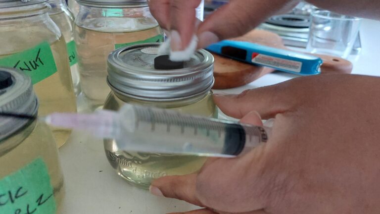 Sterilizing both the lid (specifically the injection port) and the syringe with rubbing alcohol.