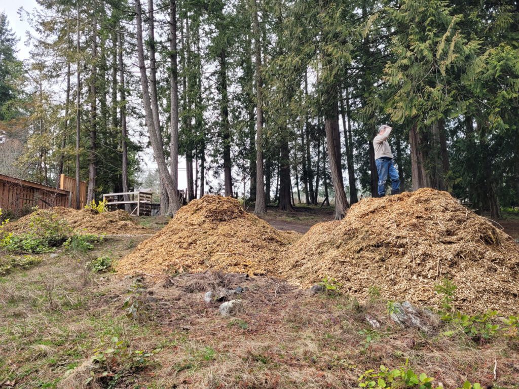 Woodchips