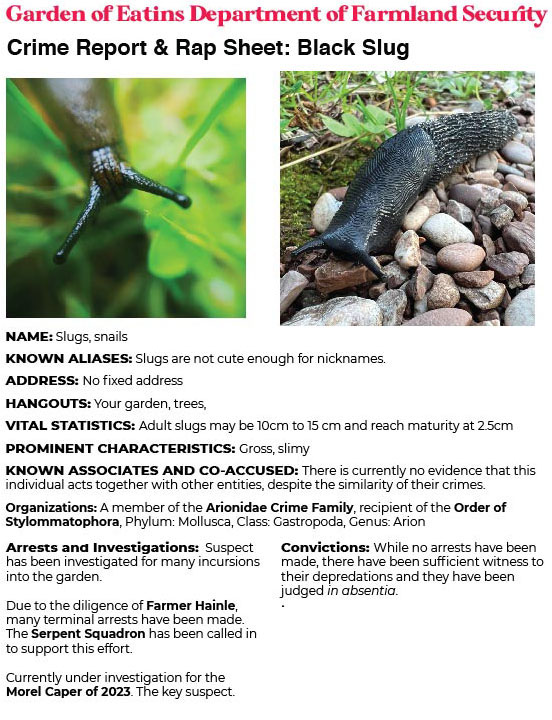 Crime Report & Rap Sheet: Black Slug
