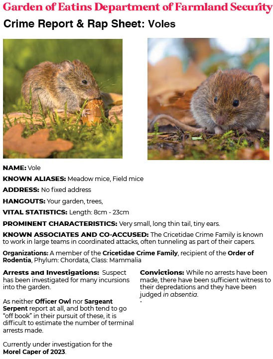 Crime Report & Rap Sheet: Voles