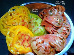 Amber Room, Harvard Square, and Girls Girls Weird Thing Tomatoes, Sliced