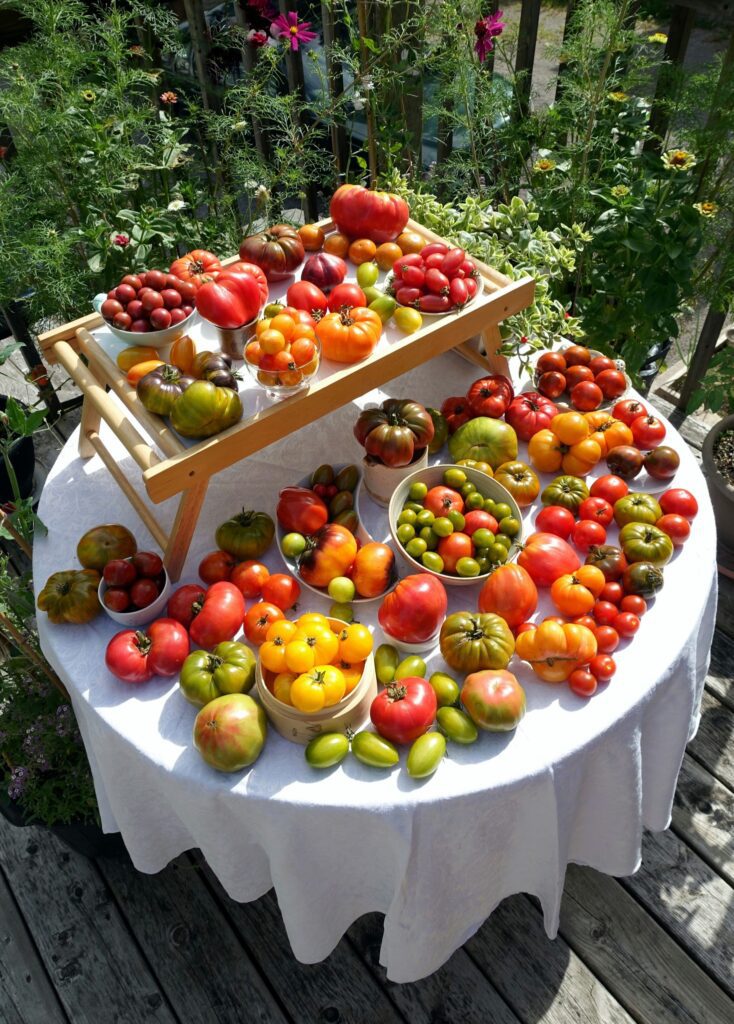 Tomato Table