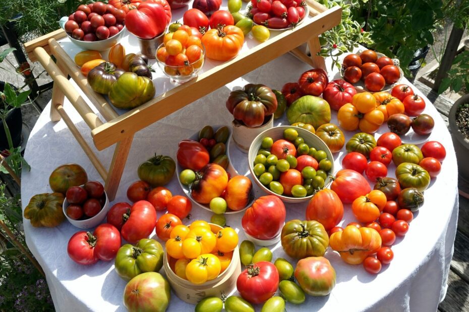 Tomato Table