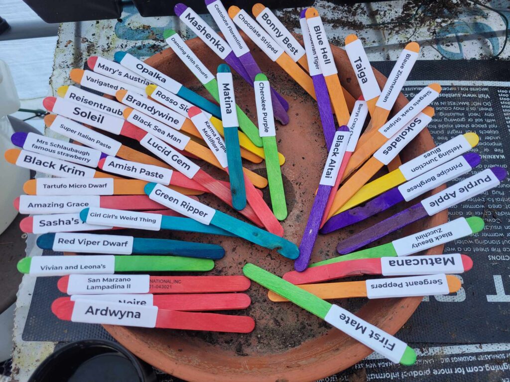 planting stakes for 54 varieties of tomatoes