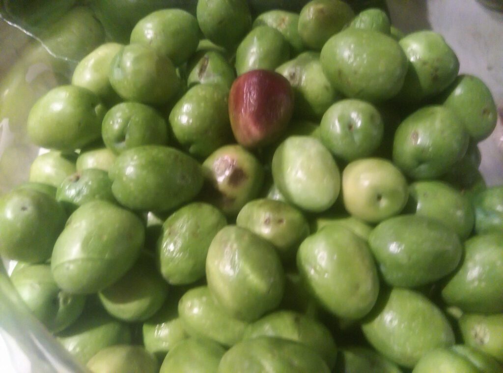 Olives in bowl